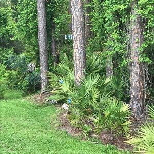 Meet your Posher, Chad